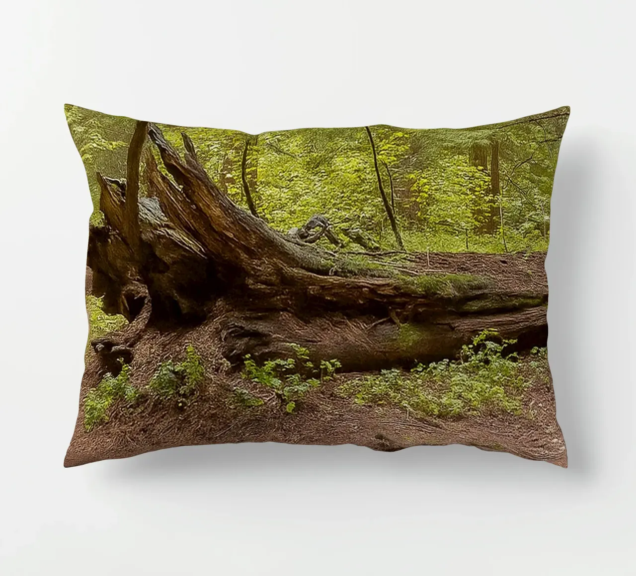 alberi marci caduti cuscino da PASMING