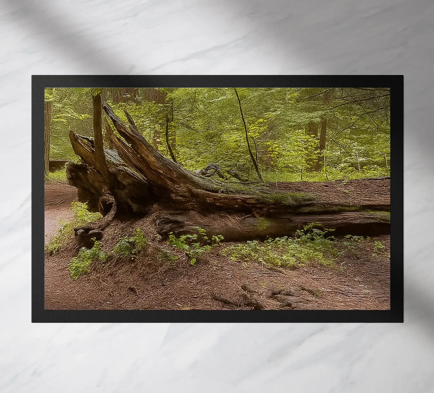 fallen rotten trees doormat by PASMING