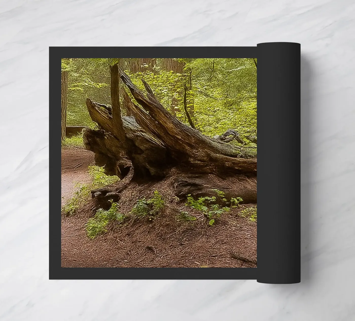 fallen rotten trees doormat by PASMING