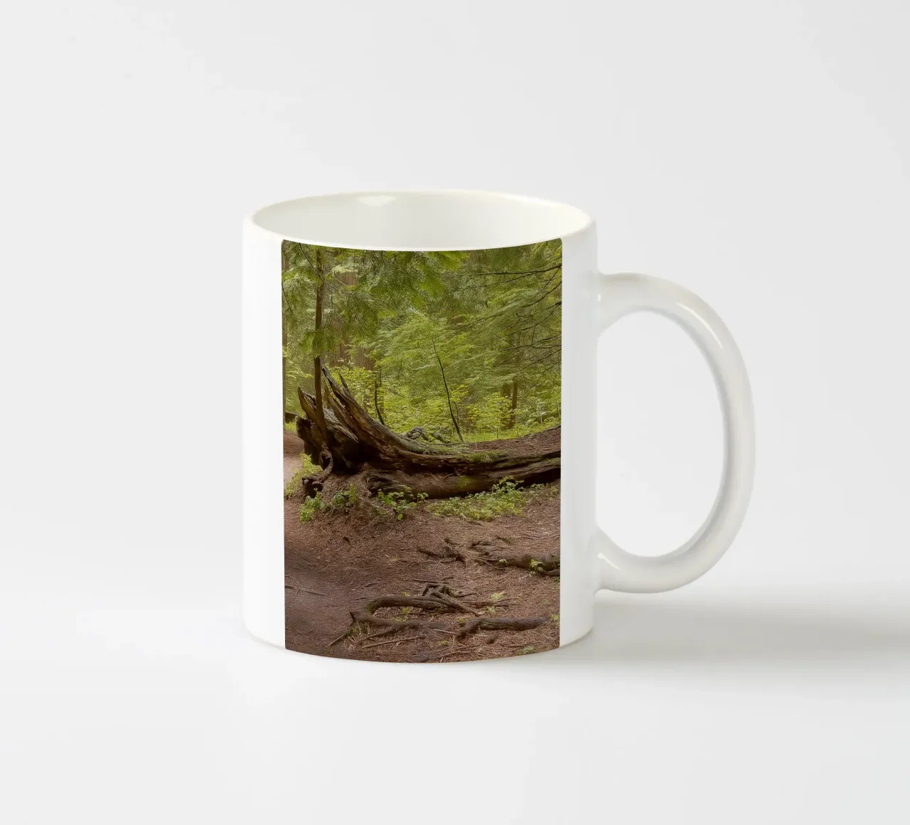 alberi marci caduti tazza in ceramica da PASMING