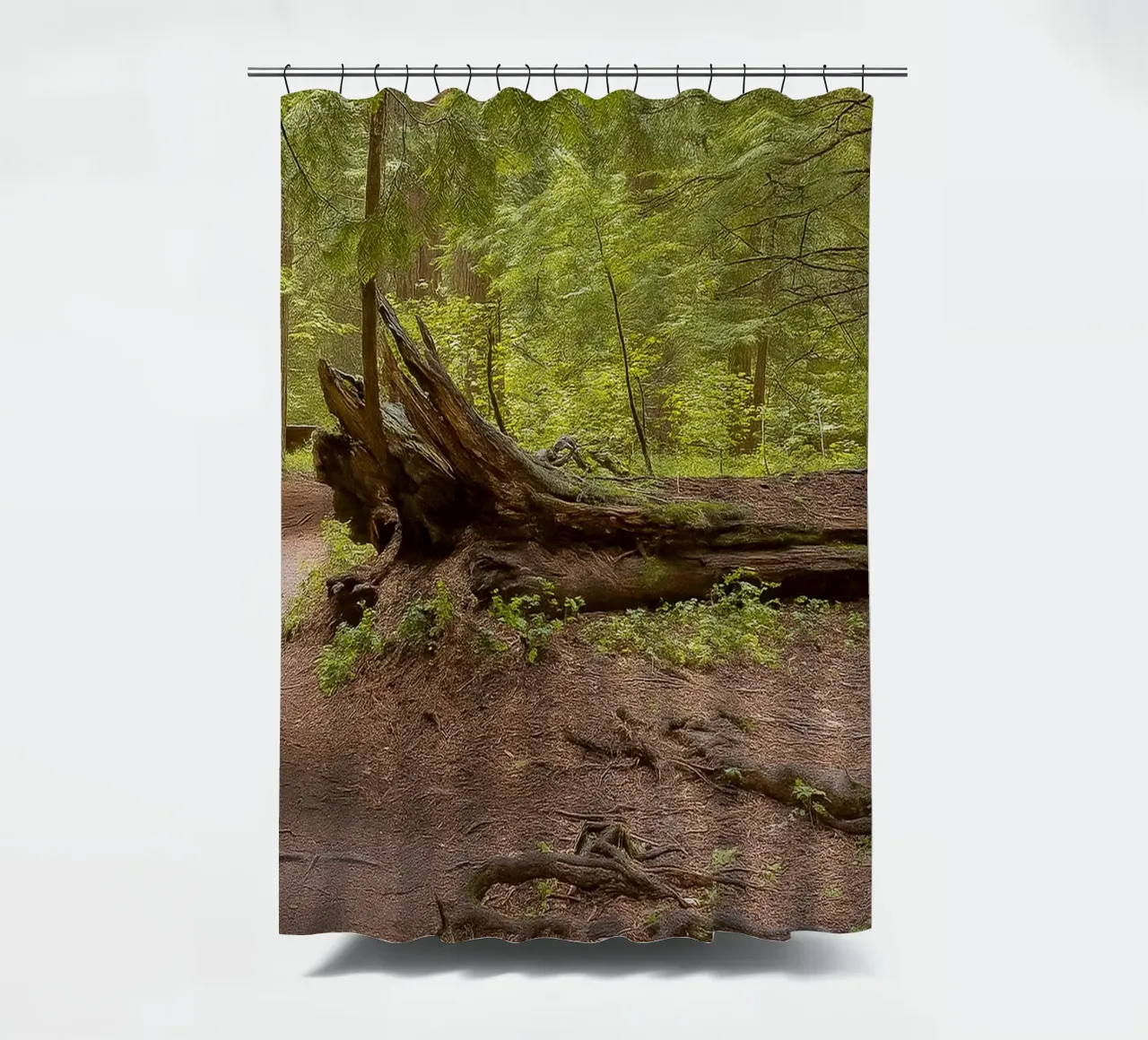 alberi marci caduti tenda da doccia da PASMING