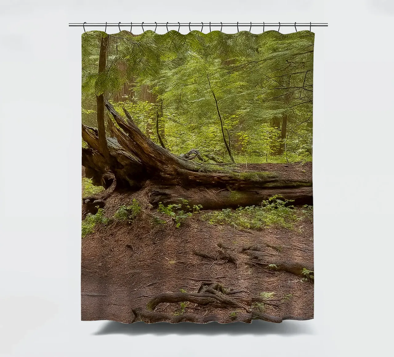 alberi marci caduti tenda da doccia da PASMING