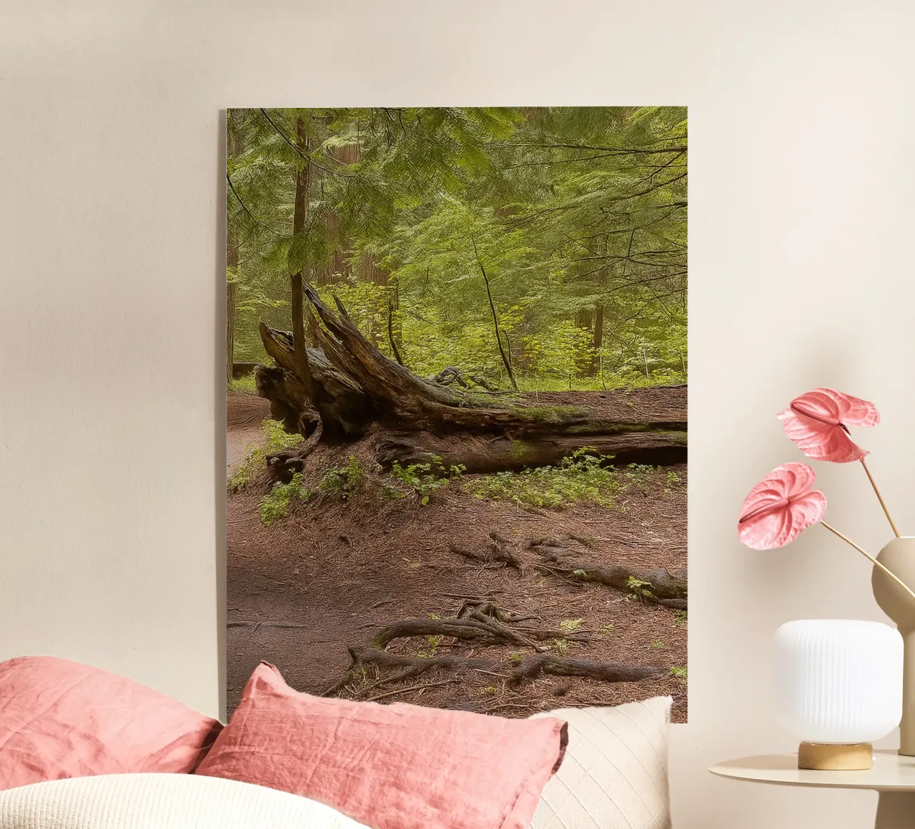 alberi marci caduti plexiglass da PASMING