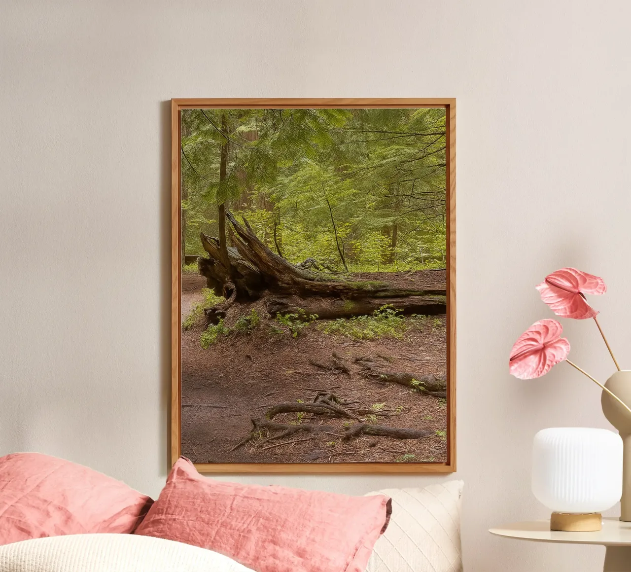 alberi marci caduti pannello forex da PASMING