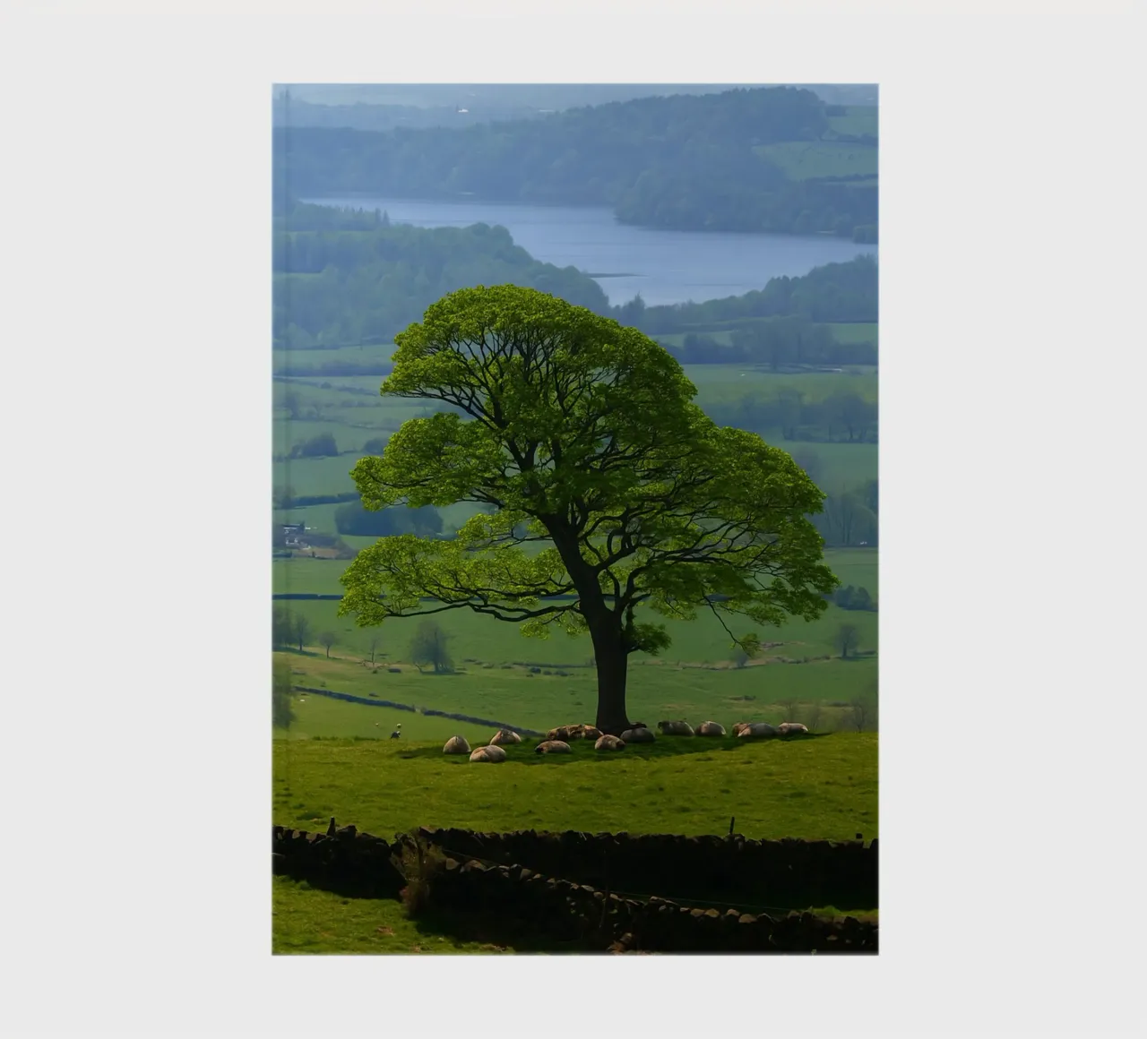 lake view from the meadow notebook by PASMING