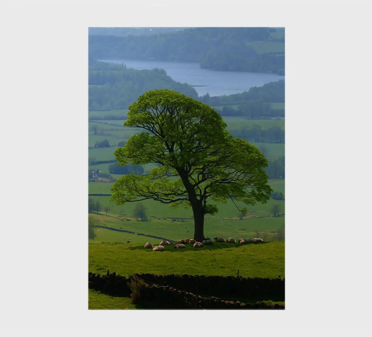 lake view from the meadow notebook by PASMING