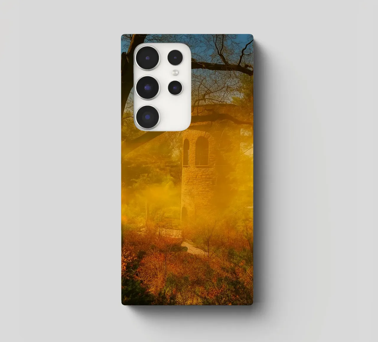 vecchio edificio in mezzo alla foresta cover samsung da PASMING