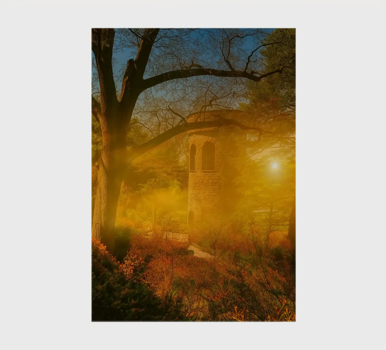 old building in the middle of the forest notebook by PASMING