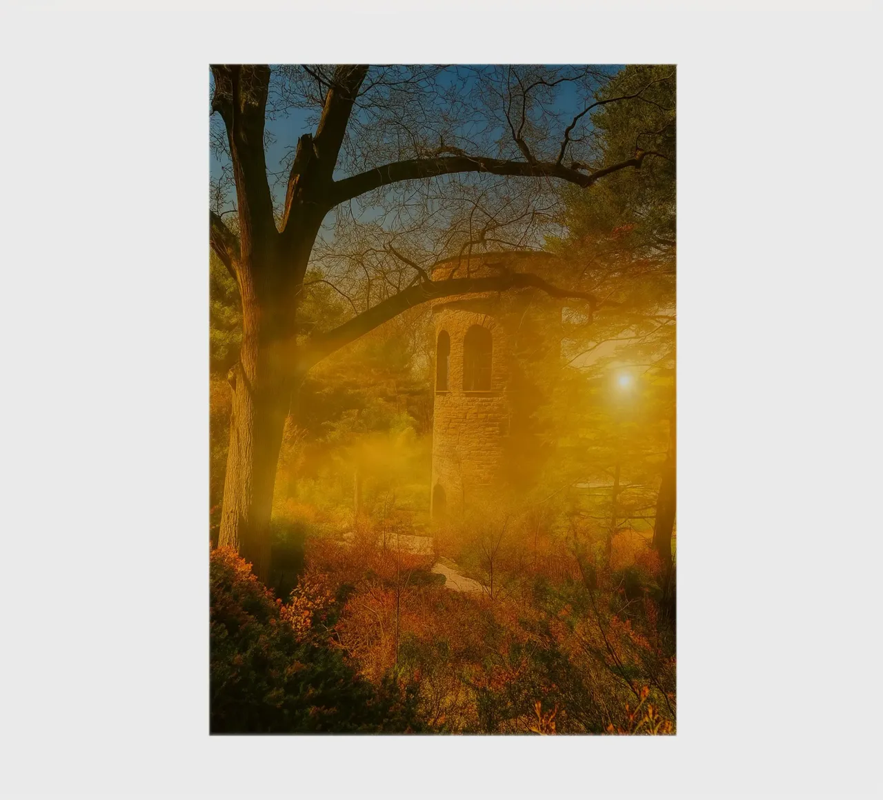 old building in the middle of the forest notebook by PASMING