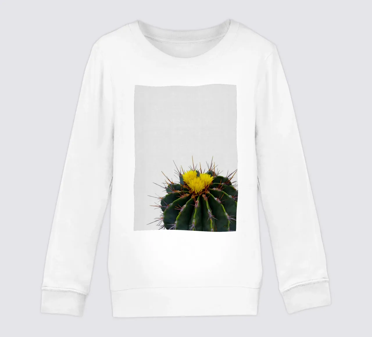 Cactus Flower kids sweatshirt by Orara Studio