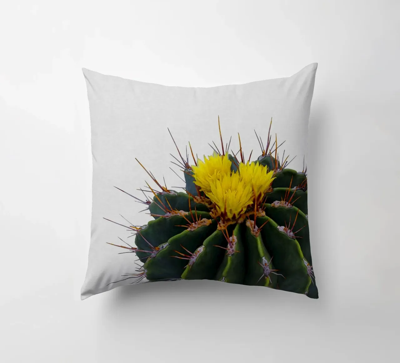 Cactus Flower decorative cushion by Orara Studio