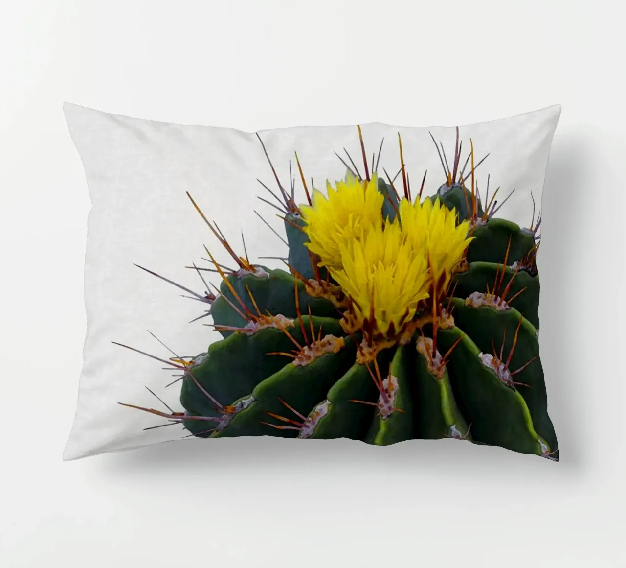 Cactus Flower decorative cushion by Orara Studio
