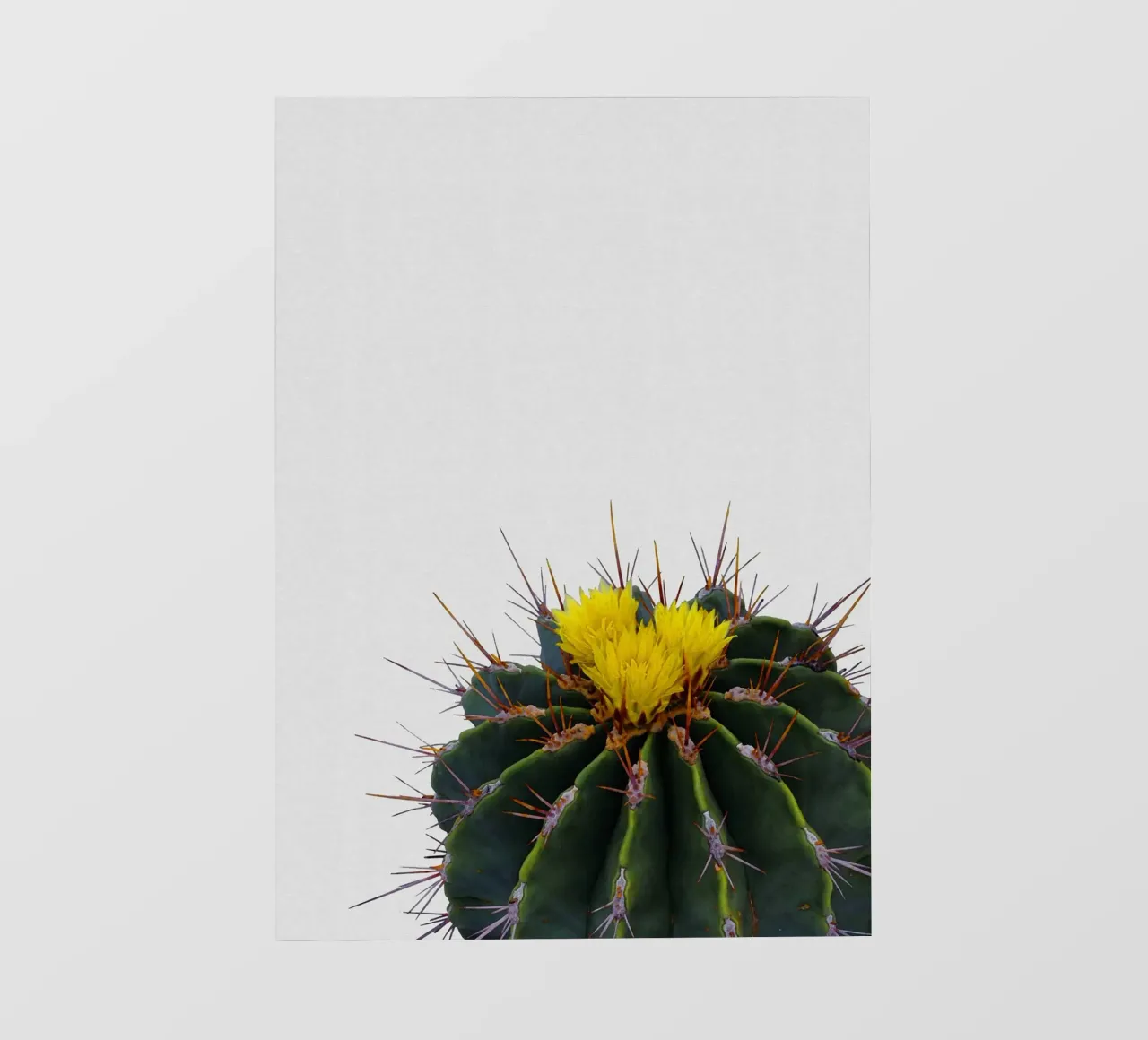 Fiore di cactus telo in pvc da Orara Studio