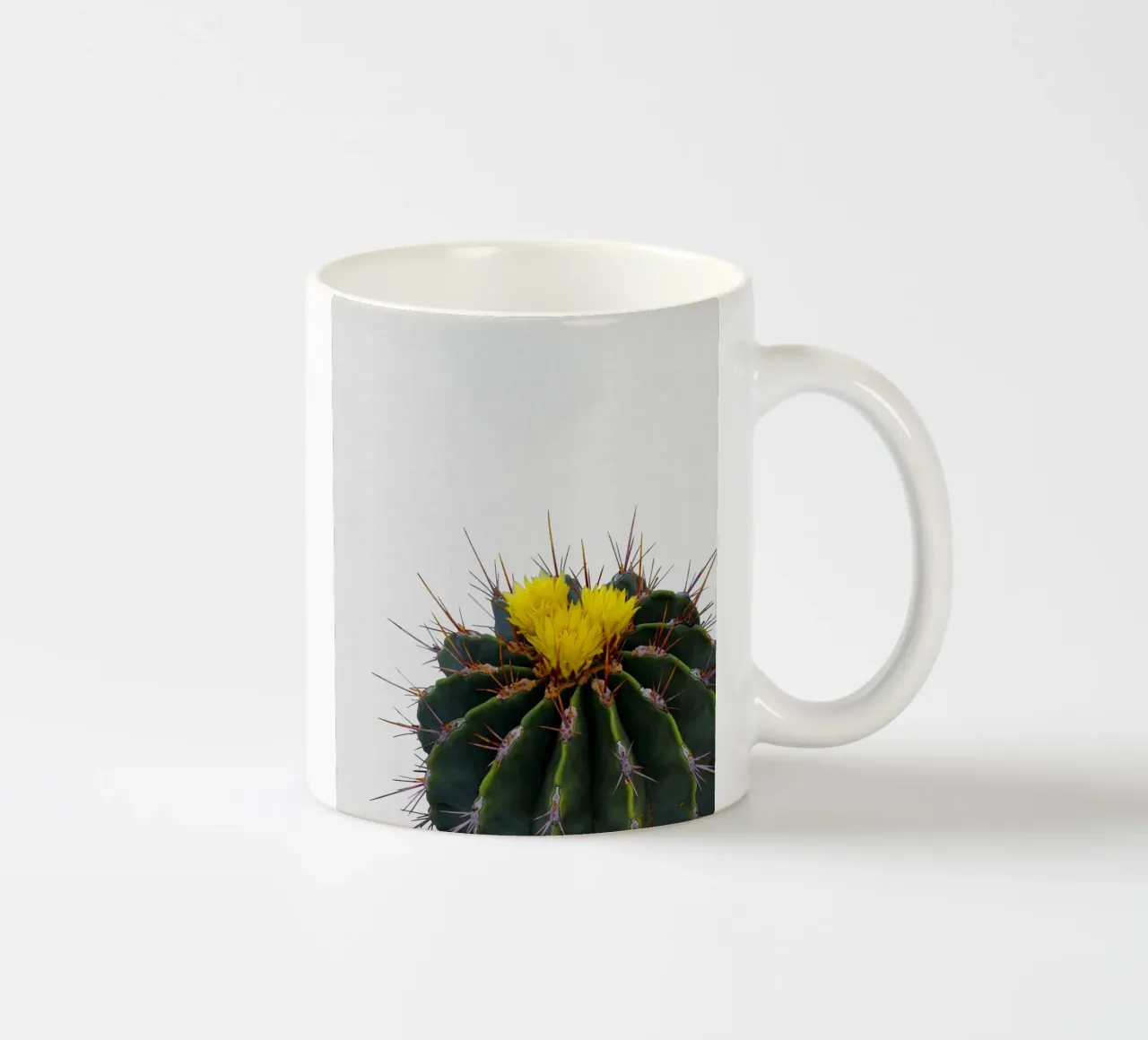 Fiore di cactus tazza in ceramica da Orara Studio