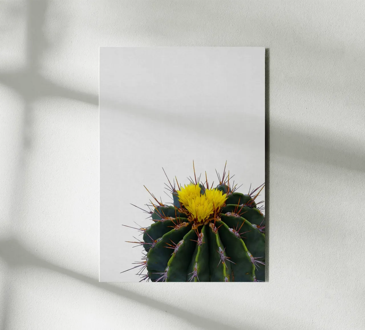 Cactus Flower forex plate by Orara Studio