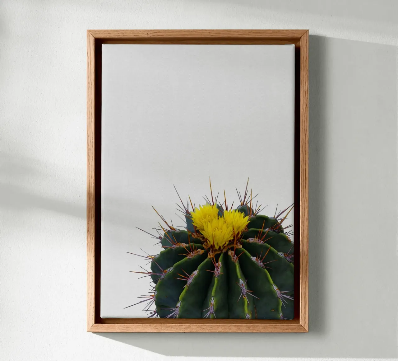 Cactus Flower canvas by Orara Studio