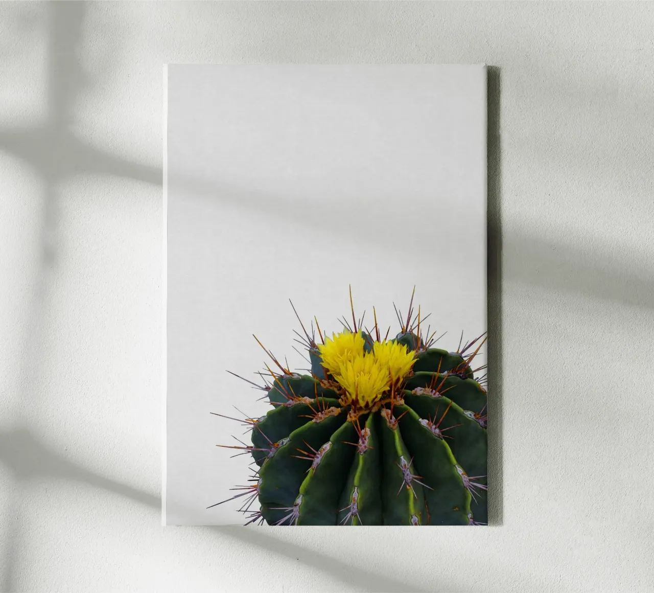 Cactus Flower canvas by Orara Studio