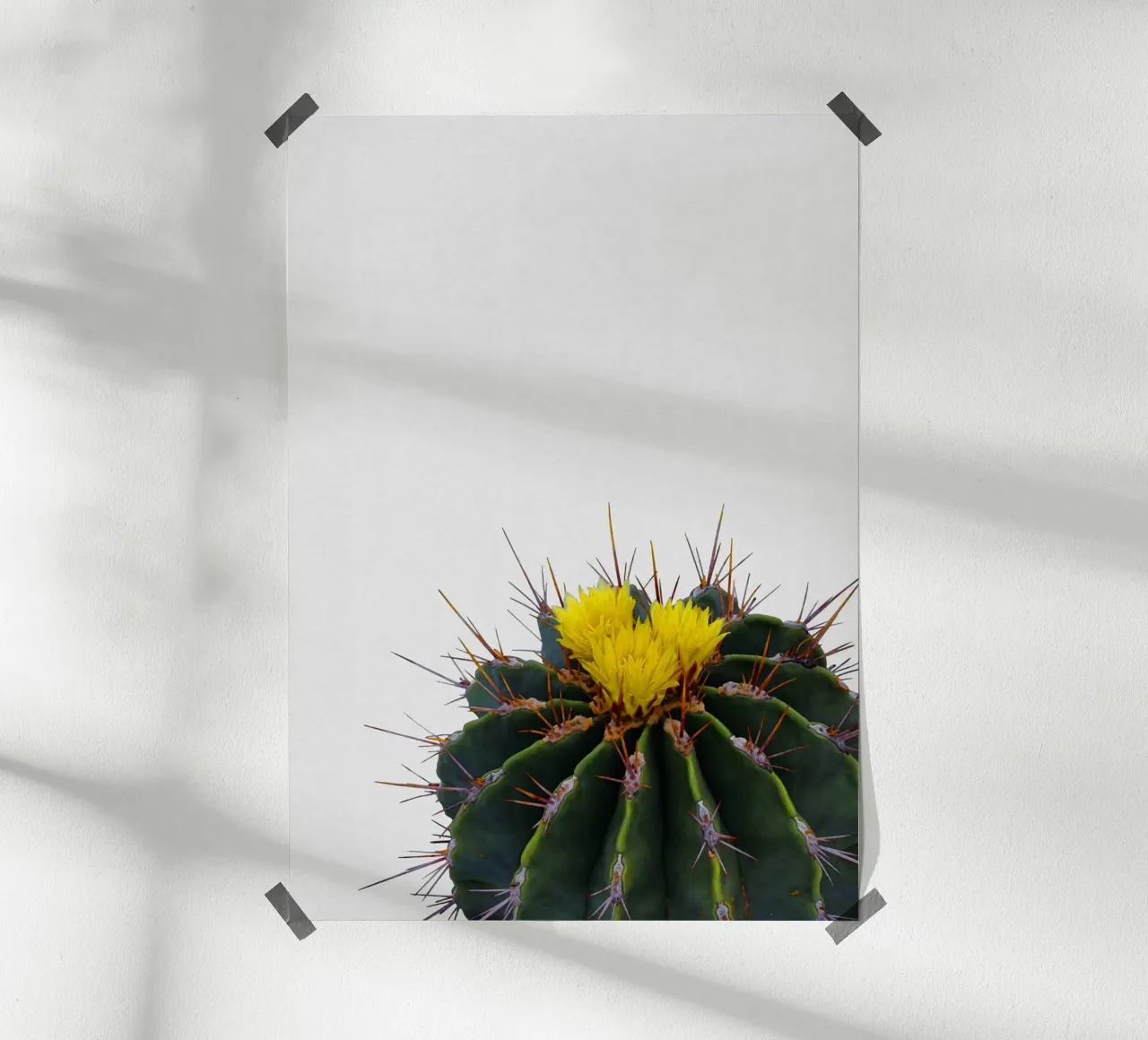 Fiore di cactus poster con telaio in plastica da Orara Studio