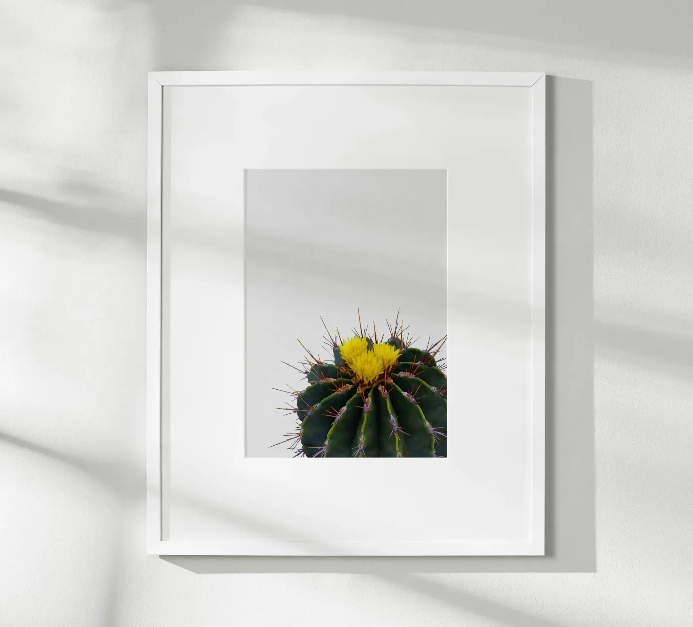 Cactusbloem poster van Orara Studio