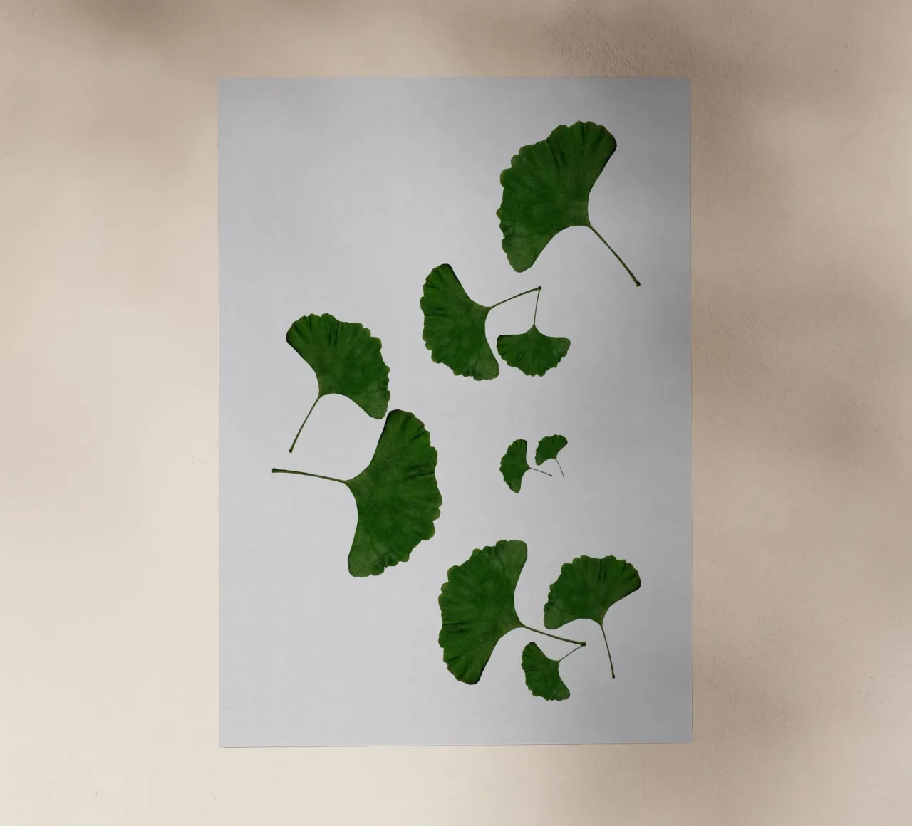 Foglie di ginkgo I pellicola backlit da Orara Studio