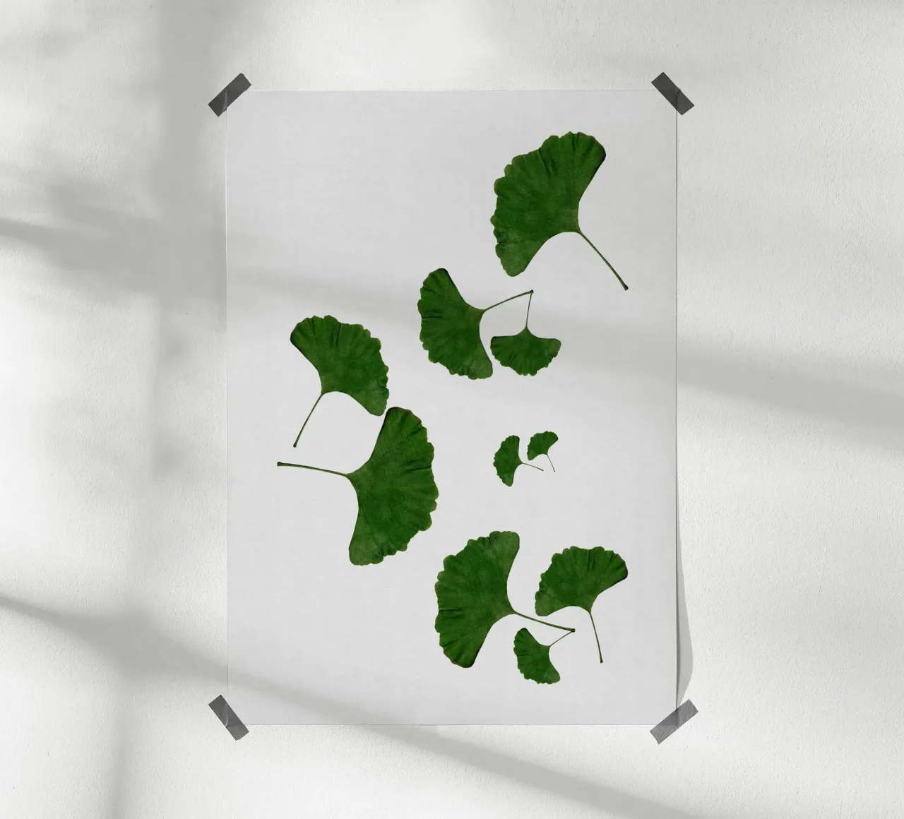 Foglie di ginkgo I carta hahnemühle da Orara Studio