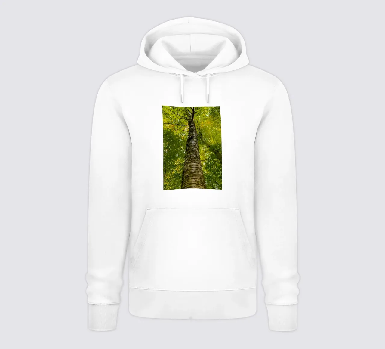 vue du tronc d'un grand arbre sweat à capuche de PASMING