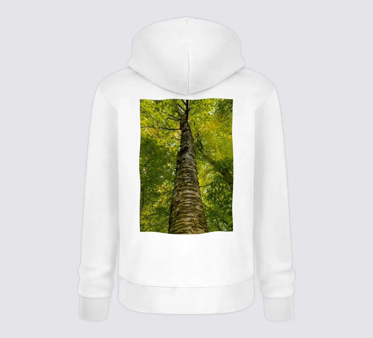 vue du tronc d'un grand arbre sweat à capuche de PASMING