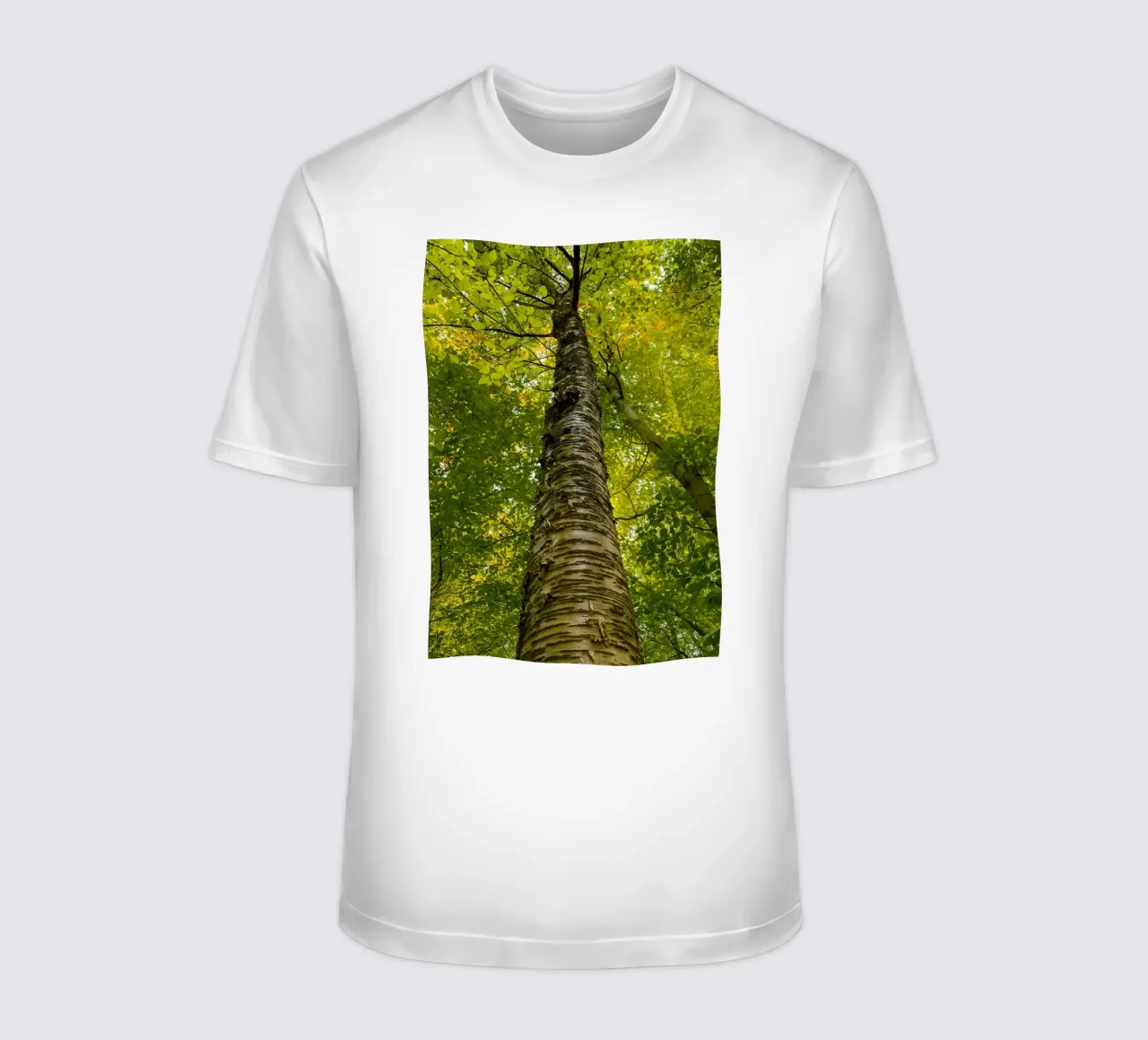 Ansicht eines hohen Baumstamms T-Shirt von PASMING