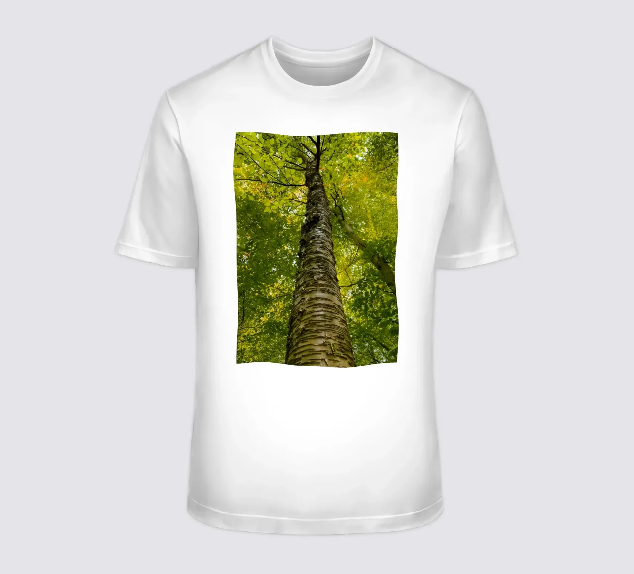 vue du tronc d'un grand arbre t-shirt de PASMING