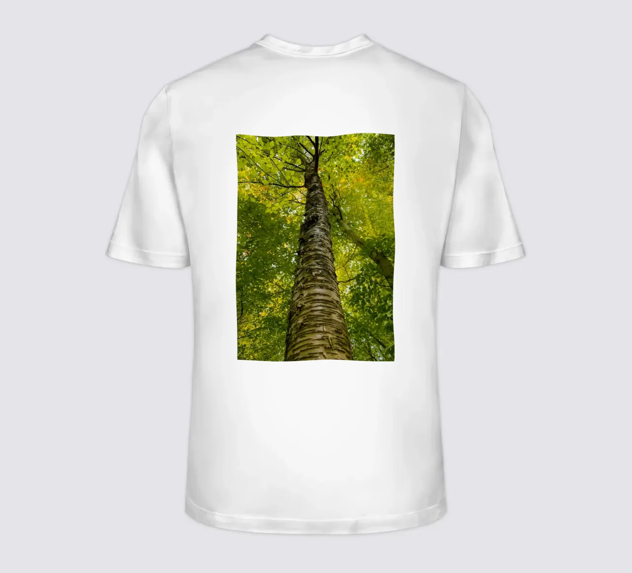 Ansicht eines hohen Baumstamms T-Shirt von PASMING