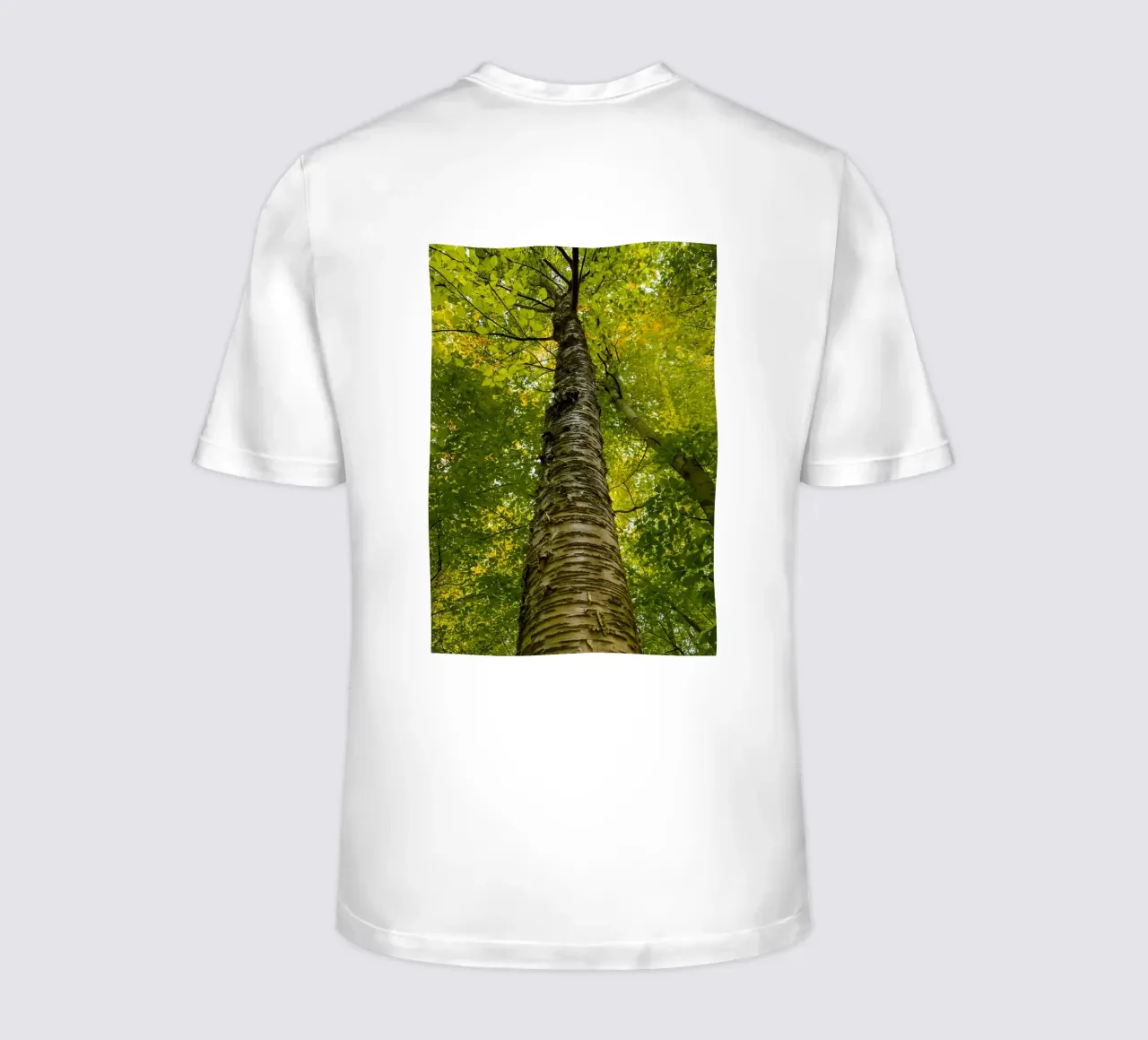 vue du tronc d'un grand arbre t-shirt de PASMING