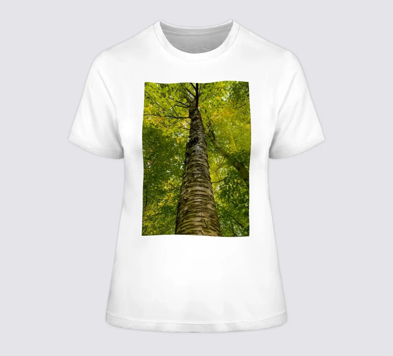 vue du tronc d'un grand arbre t-shirt ajusté pour femmes de PASMING