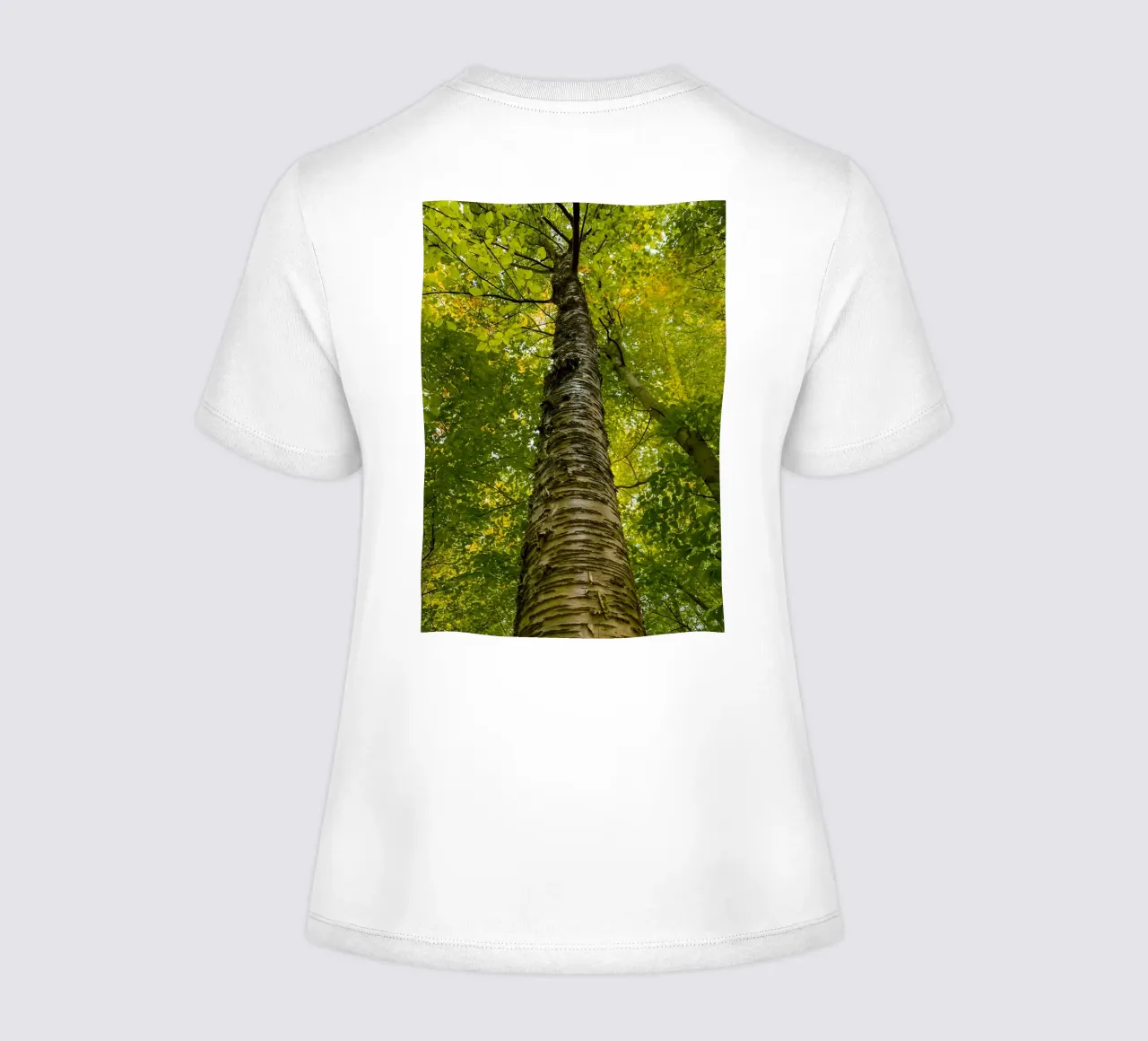 vue du tronc d'un grand arbre t-shirt ajusté pour femmes de PASMING