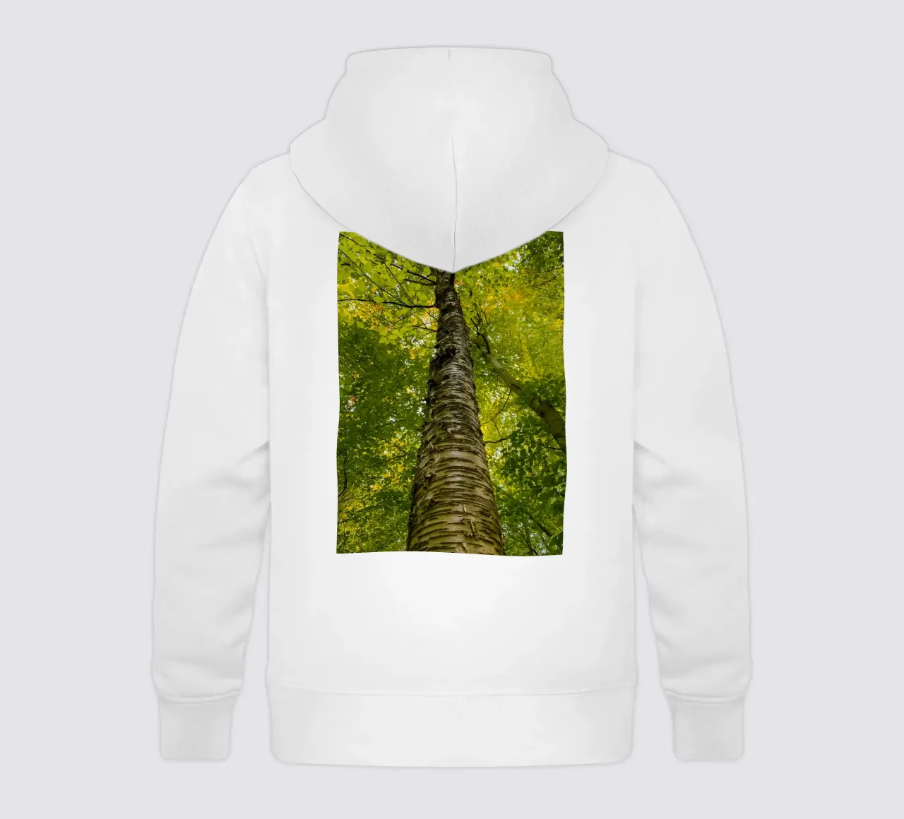 vue du tronc d'un grand arbre sweat à capuche enfant de PASMING