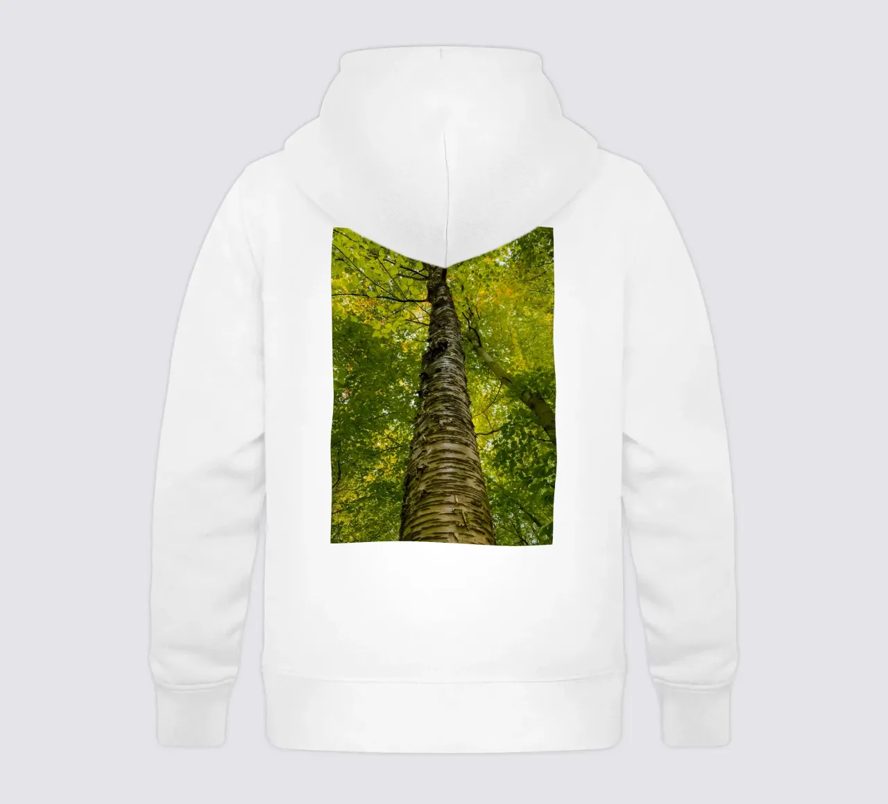 vue du tronc d'un grand arbre sweat à capuche enfant de PASMING