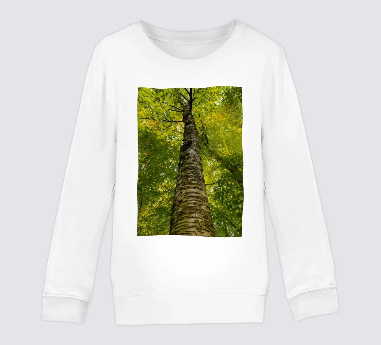 vue du tronc d'un grand arbre sweat enfant de PASMING