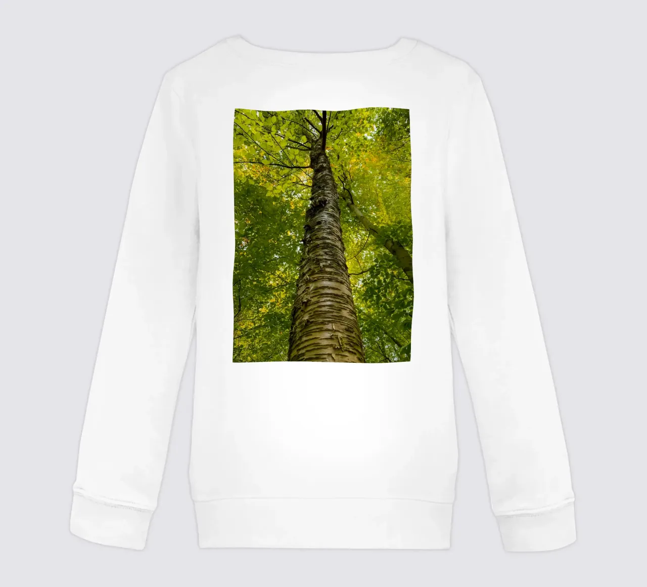 vue du tronc d'un grand arbre sweat enfant de PASMING