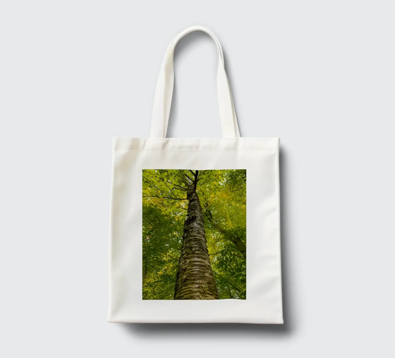 vue du tronc d'un grand arbre tote bag de PASMING