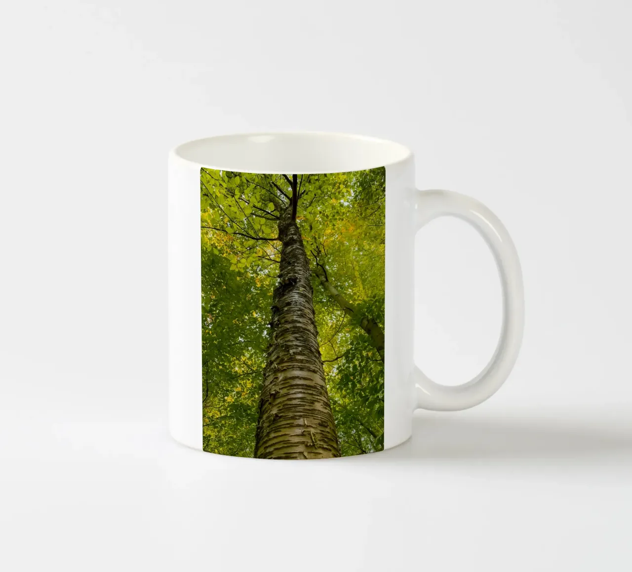 vue du tronc d'un grand arbre mug en céramique de PASMING