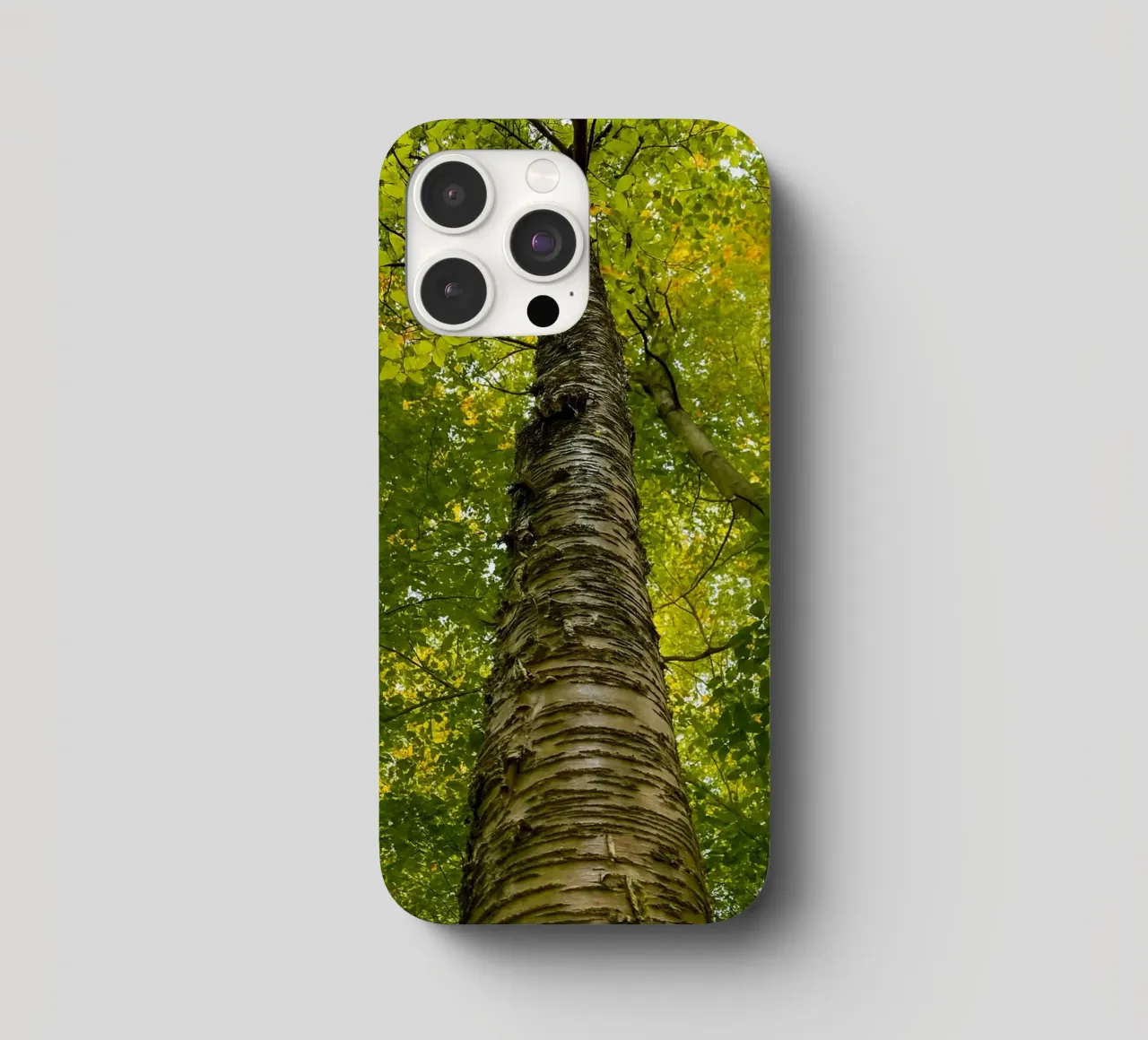 vista del tronco dell'albero ad alto fusto cover iphone da PASMING
