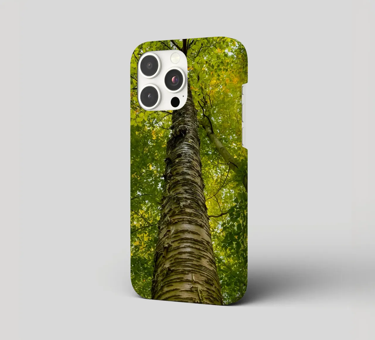 vista del tronco dell'albero ad alto fusto cover iphone da PASMING