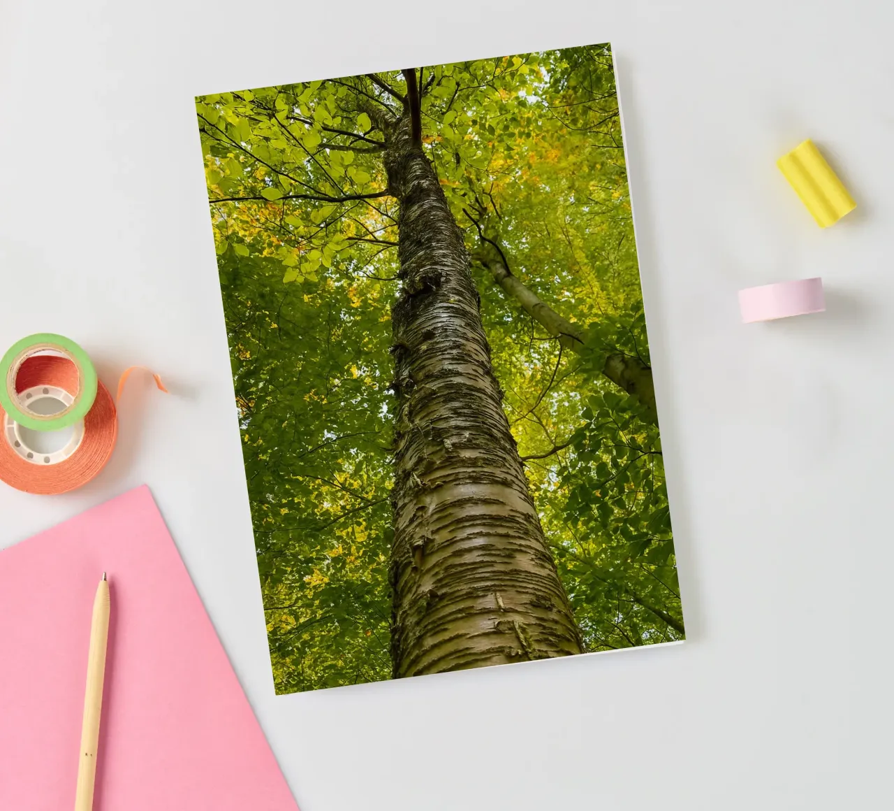 vue du tronc d'un grand arbre carnet de notes de PASMING