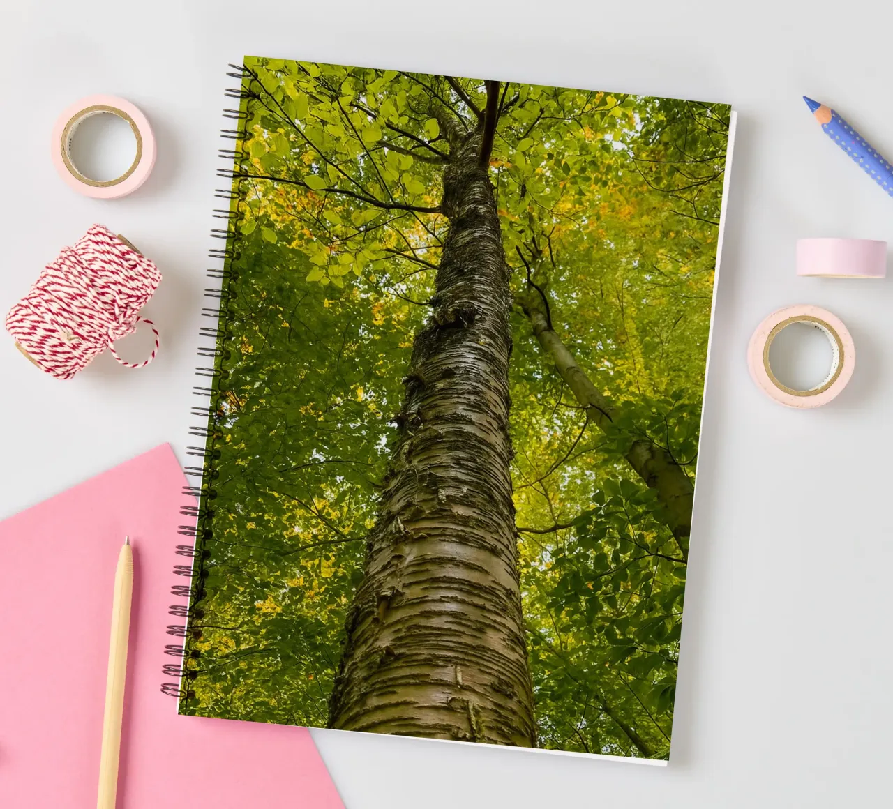 vue du tronc d'un grand arbre carnet à spirale de PASMING
