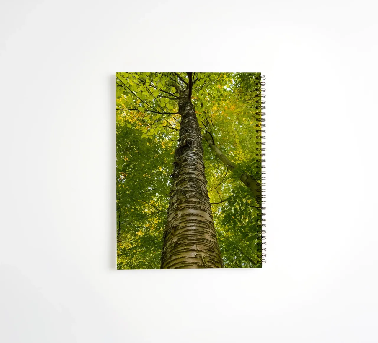 vue du tronc d'un grand arbre carnet à spirale de PASMING