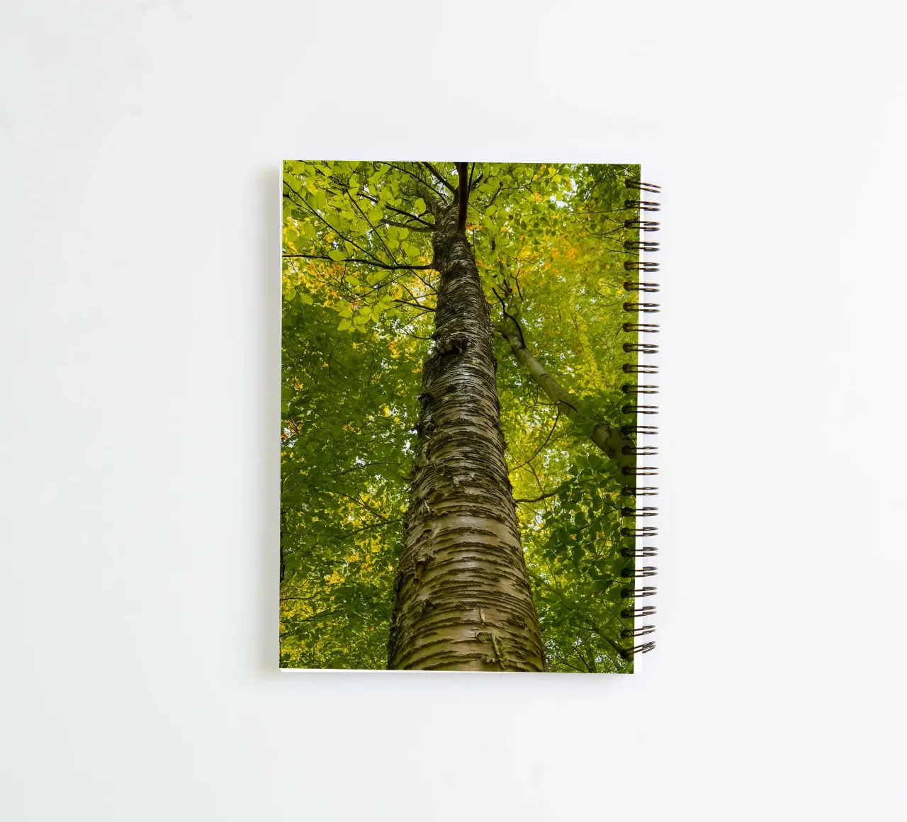 vue du tronc d'un grand arbre carnet à spirale de PASMING