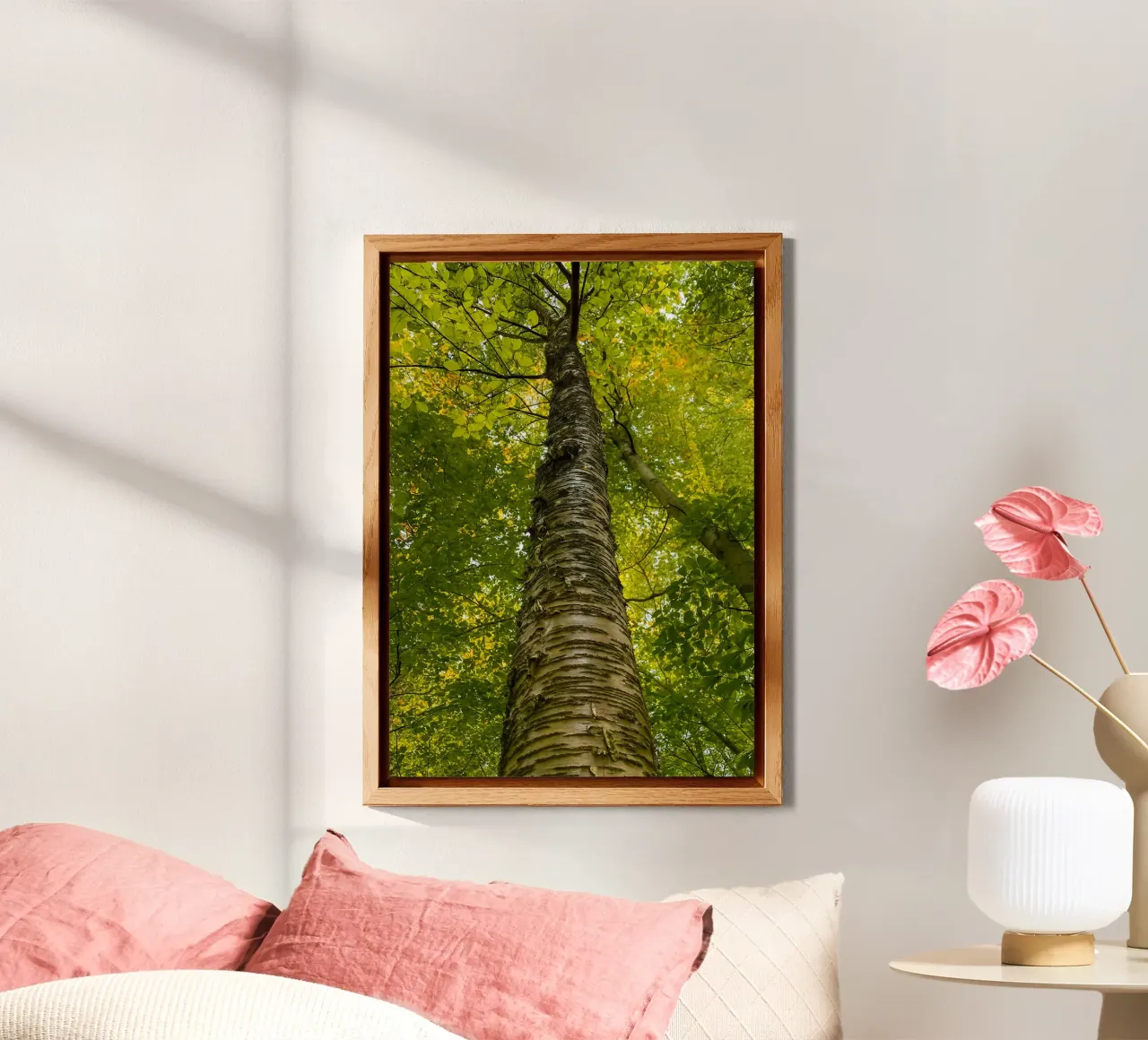 vue du tronc d'un grand arbre alu dibond de PASMING