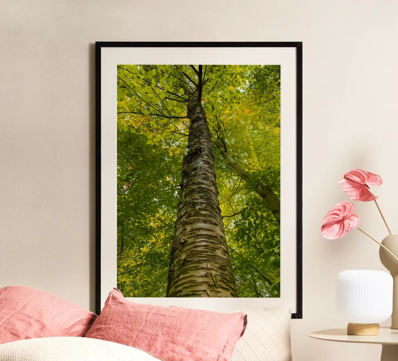 vue du tronc d'un grand arbre hahnemühle de PASMING