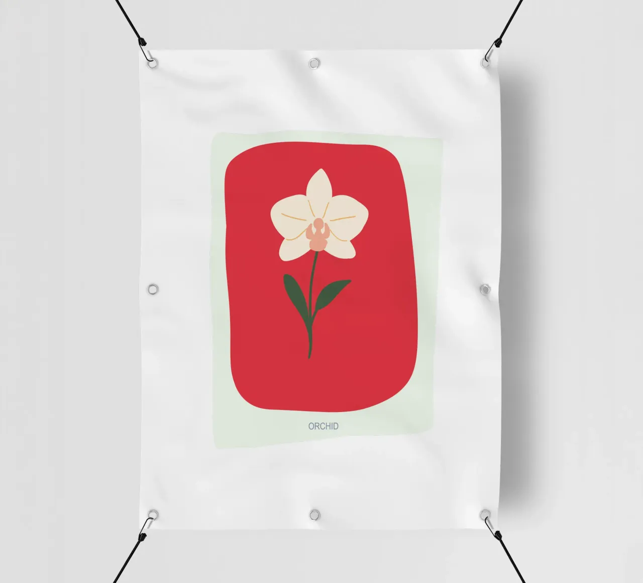Illustrazione disegnata a mano di un'orchidea telo in pvc da GalerieGG