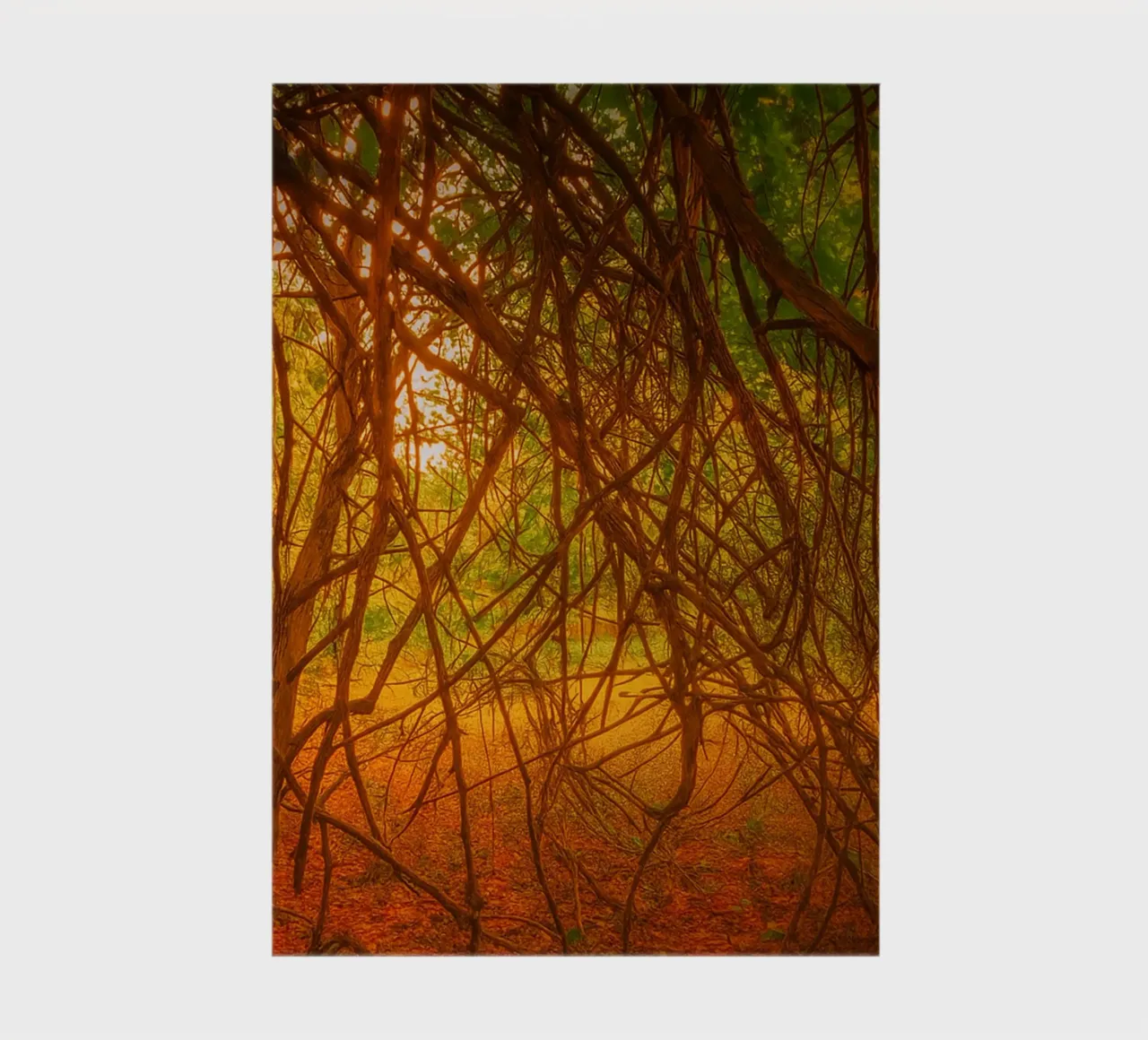 tree branches hanging down to the ground notebook by PASMING