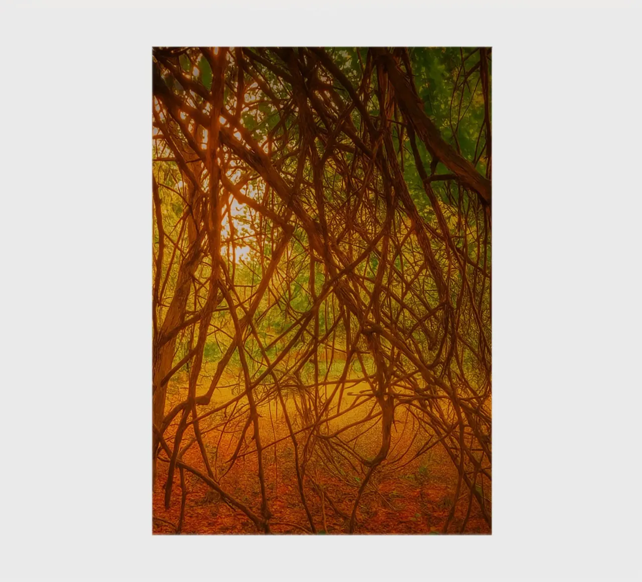 les branches d'arbres qui pendent jusqu'au sol carnet de notes de PASMING